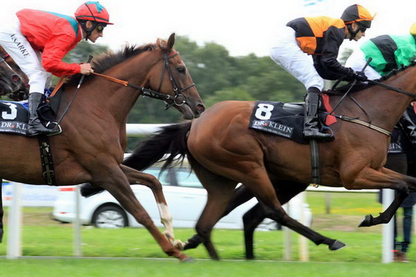 Audi_Ascot   082.jpg